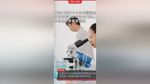 云南大理州中小企業(yè)融資擔(dān)保公司高管被查，中小企業(yè)融資生態(tài)引關(guān)注